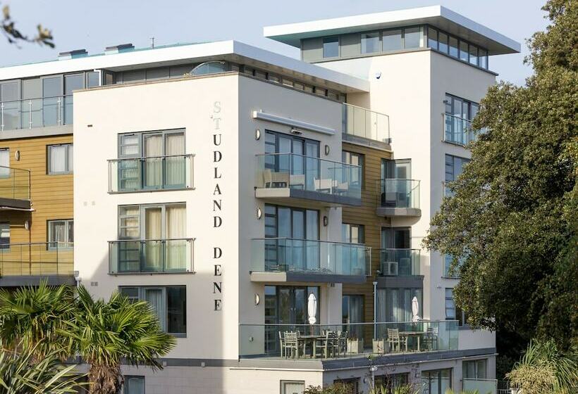 Swallows   Bournemouth