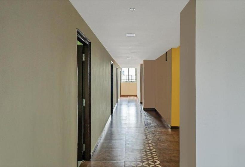 ホテル Oyo 47579 Gn Residency