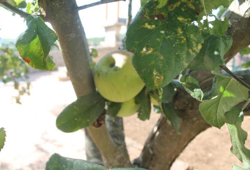 פנסיון Casa Costoya