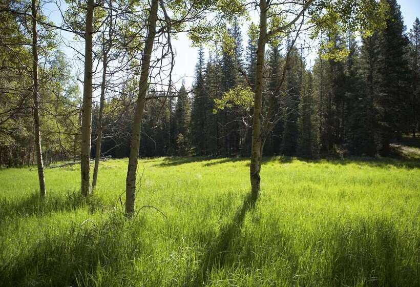 Отель Best Western Alpenglo Lodge