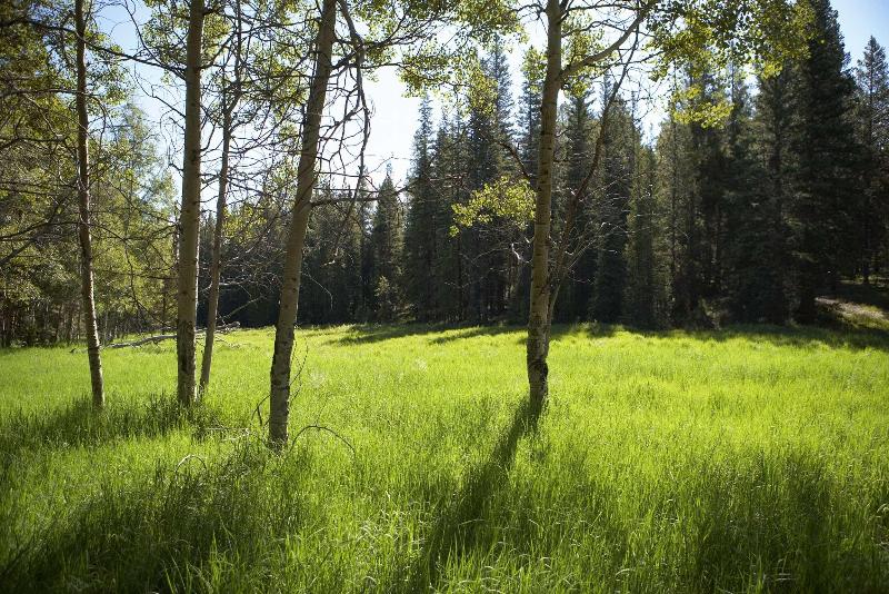 Отель Best Western Alpenglo Lodge