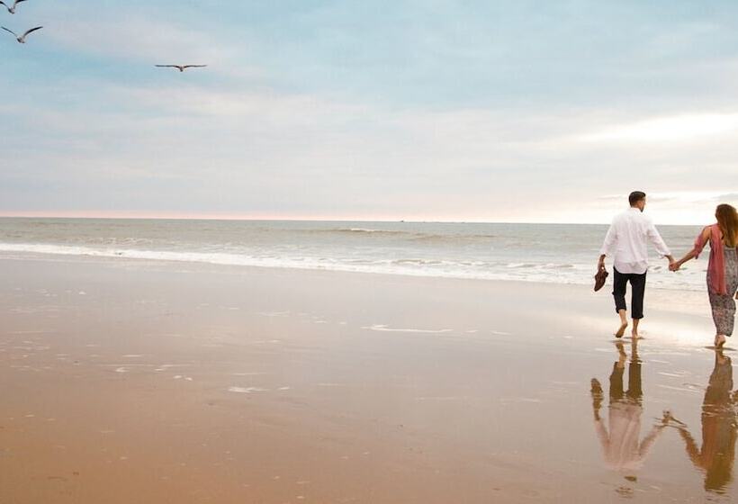 Hotel Four Points By Sheraton Virginia Beach Oceanfront