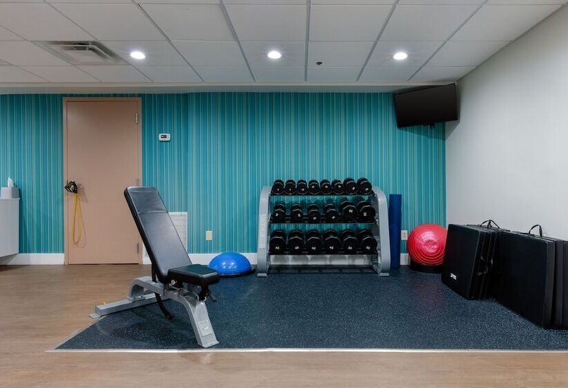 בית מלון כפרי Holiday Inn Express & Suites Atlanta Downtown, An Ihg