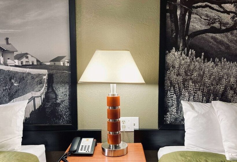 בית מלון כפרי Super 8 By Wyndham Colorado Springs/afa Area