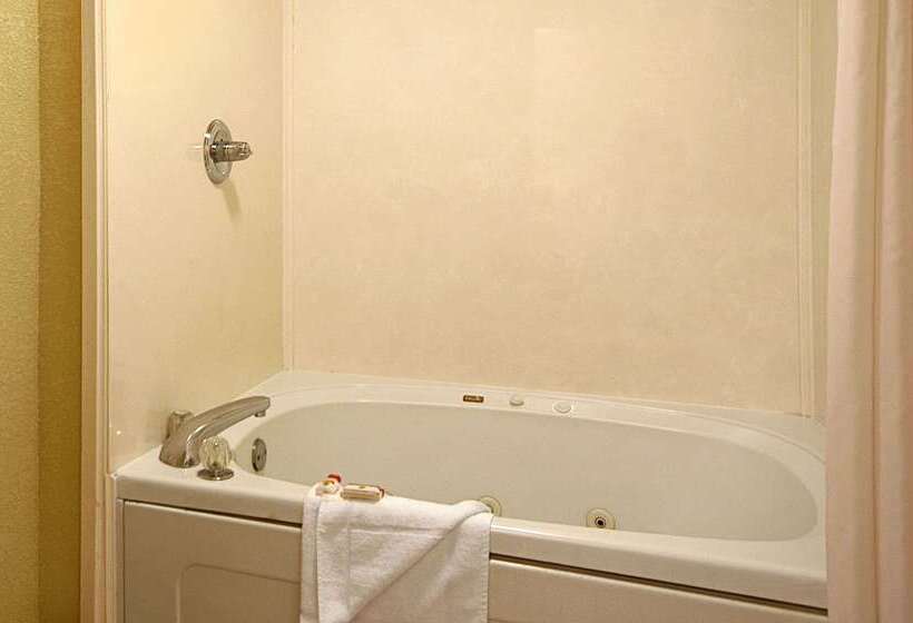 ホテル Super 8 By Wyndham Mobile/tillmans Corner