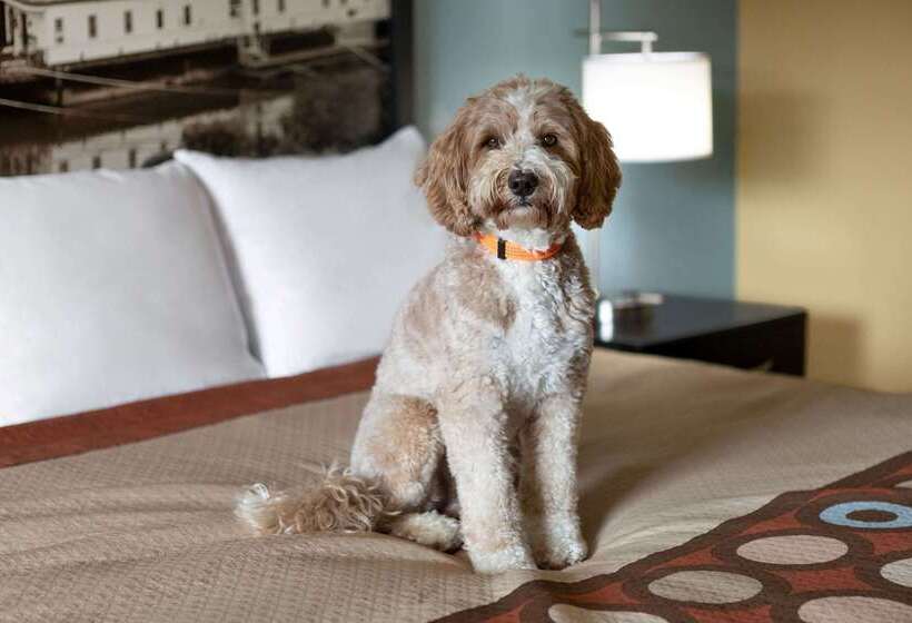 فندق Super 8 By Wyndham Whites Creek/ Nashville Nw Area