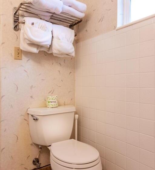 فندق Swiss Alps Inn