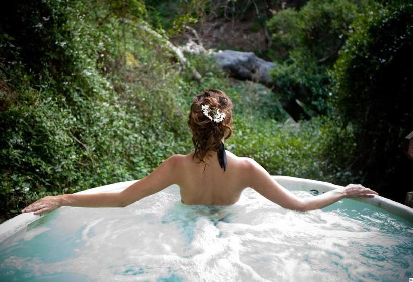 فندق Sycamore Mineral Springs