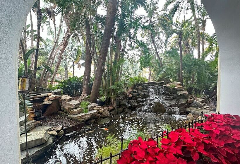 Tahitian Inn Boutique Hotel Tampa