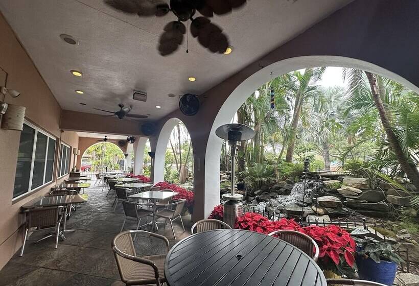 Tahitian Inn Boutique Hotel Tampa