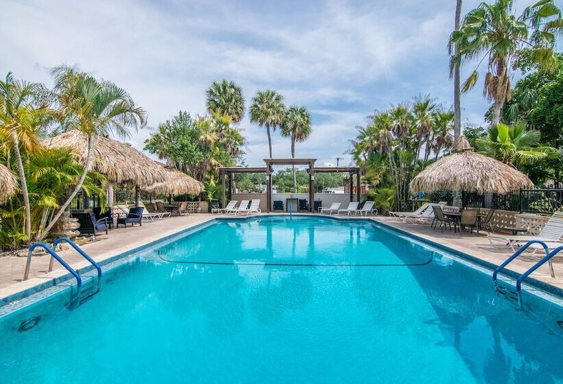 Tahitian Inn Boutique Hotel Tampa