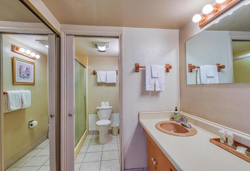 Tahoya Shores Poolside Studio