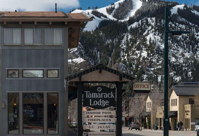 فندق Tamarack Lodge
