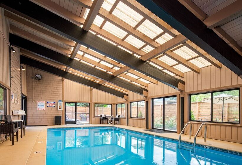 فندق Tamarack Lodge