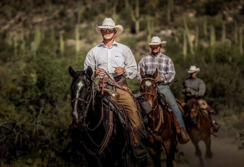 هتل Tanque Verde Guest Ranch