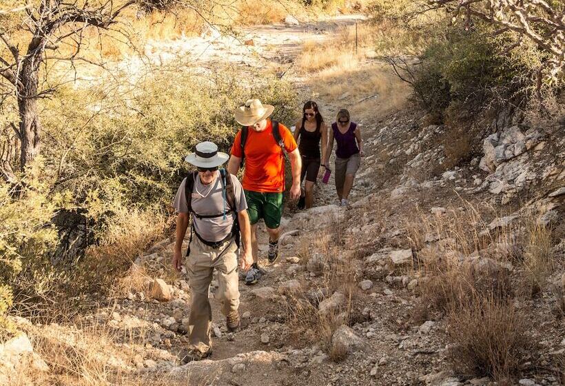 هتل Tanque Verde Guest Ranch