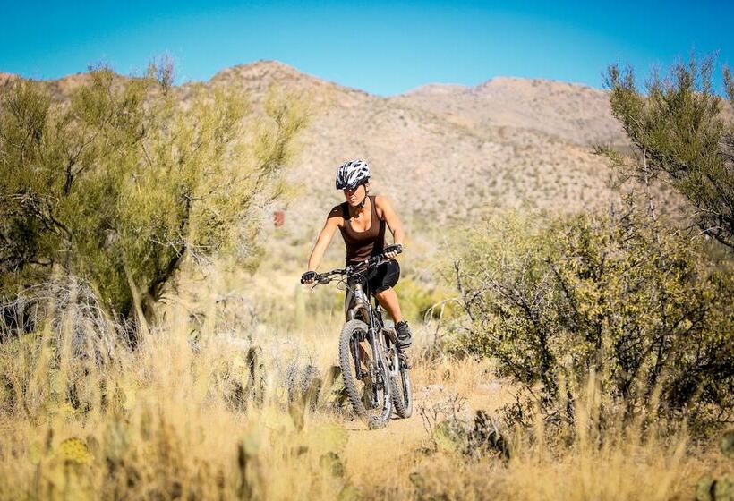 هتل Tanque Verde Guest Ranch