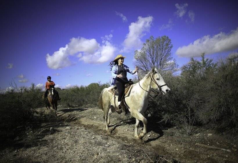 هتل Tanque Verde Guest Ranch