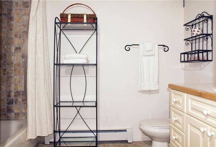 호텔 Mountainside Inn 201 By Alpine Lodging Telluride