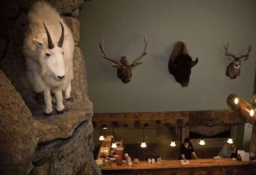 בית מלון כפרי Three Bear Lodge