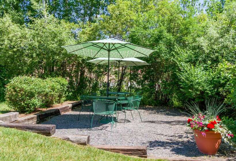 Maine Evergreen Hotel, Ascend Hotel Collection