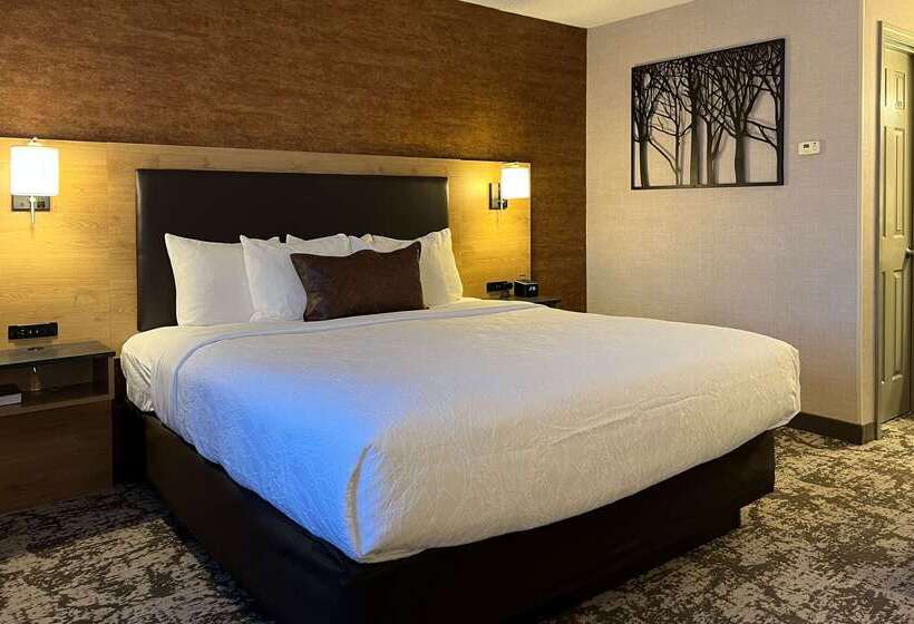 Maine Evergreen Hotel, Ascend Hotel Collection