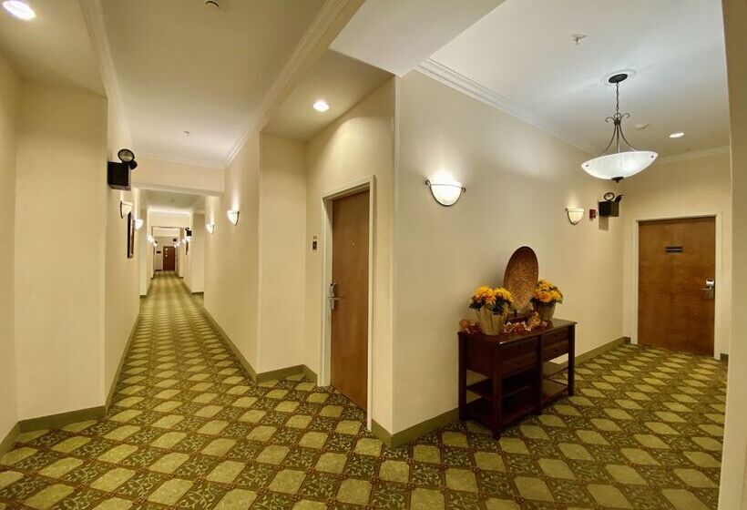 Maine Evergreen Hotel, Ascend Hotel Collection