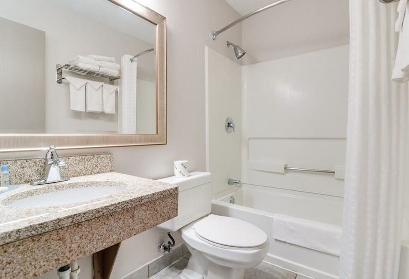 모텔 American Inn & Suites Metro Airport