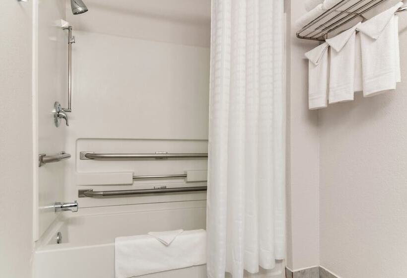 모텔 American Inn & Suites Metro Airport