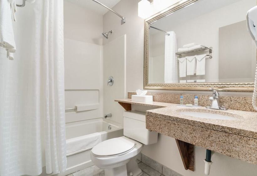 모텔 American Inn & Suites Metro Airport