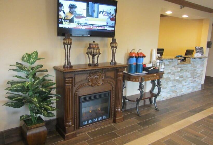 모텔 American Inn & Suites Metro Airport