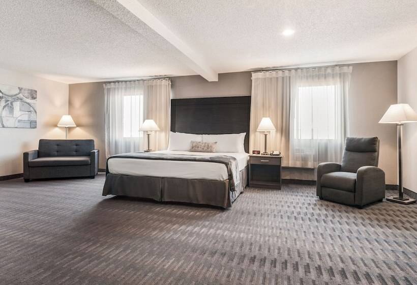 모텔 American Inn & Suites Metro Airport