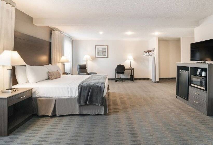 모텔 American Inn & Suites Metro Airport