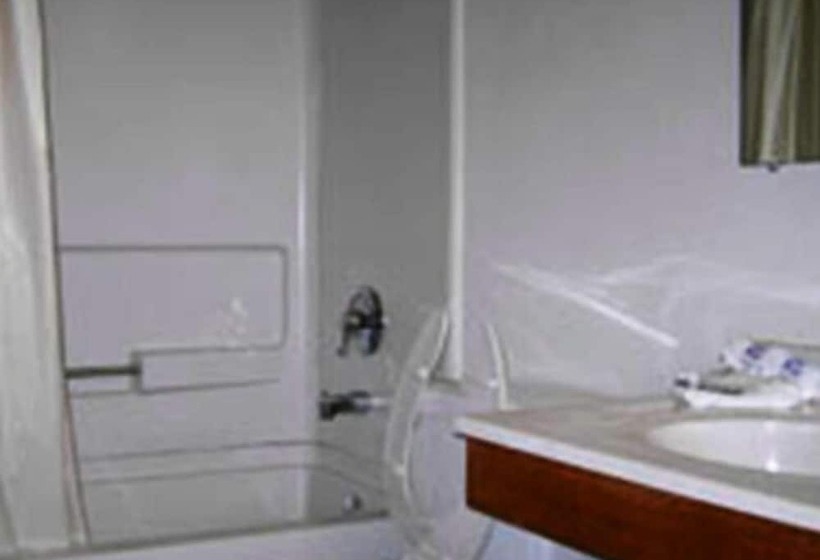 فندق على الطريق American Innalexander City