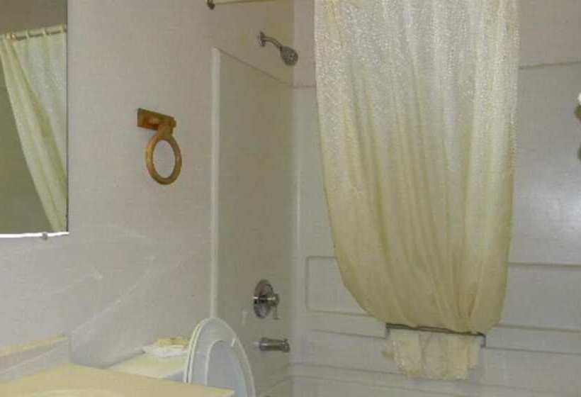 فندق على الطريق American Innalexander City