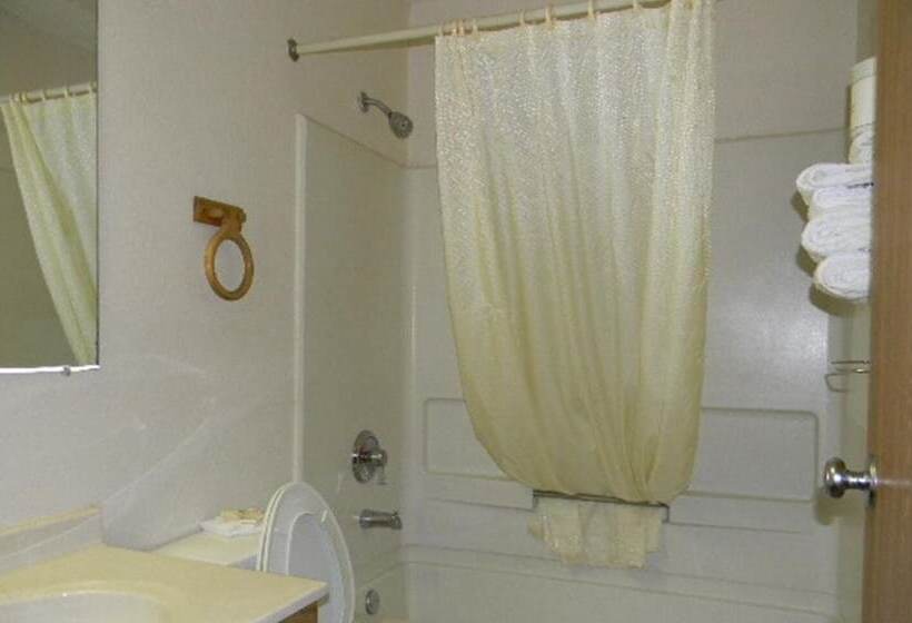 فندق على الطريق American Innalexander City