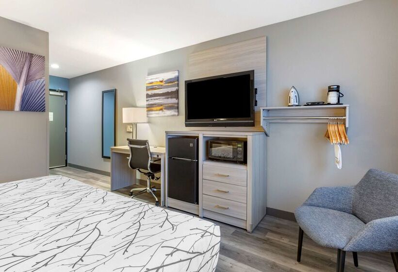 汽车旅馆  Best Western Blythe