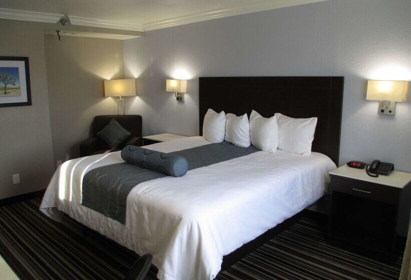 מוטל Best Western Plus Diamond Valley Inn