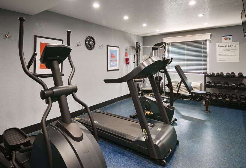 מוטל Best Western Plus Diamond Valley Inn