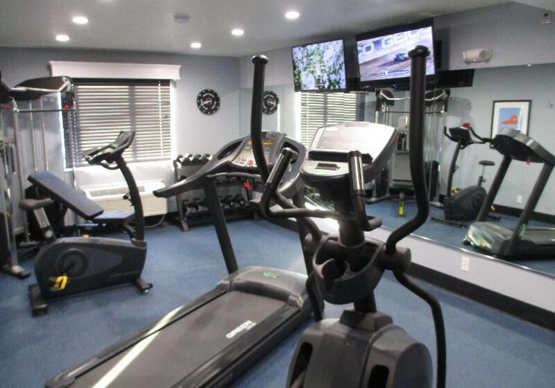 מוטל Best Western Plus Diamond Valley Inn