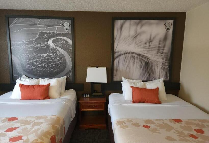 مُتل Bison Plains Lodge