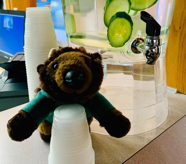 مُتل Bison Plains Lodge