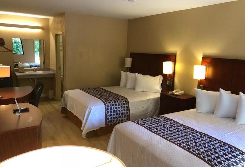 מוטל Inn Between The Hedges