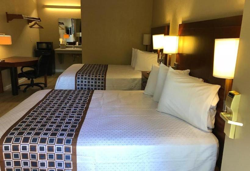 מוטל Inn Between The Hedges