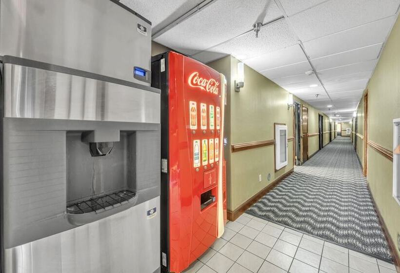 모텔 City Center Inn