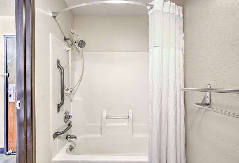 汽车旅馆  Days Inn By Wyndham Le Roy/bloomington Southeast