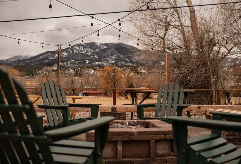 فندق على الطريق Loyal Duke Lodge