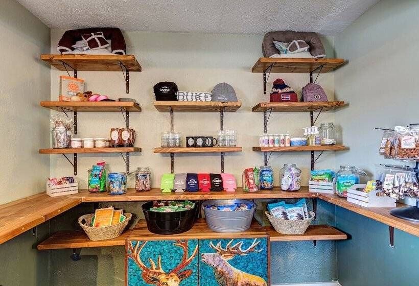 فندق على الطريق Loyal Duke Lodge