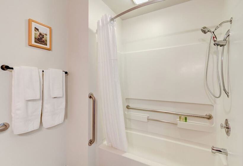 فندق على الطريق Loyal Duke Lodge