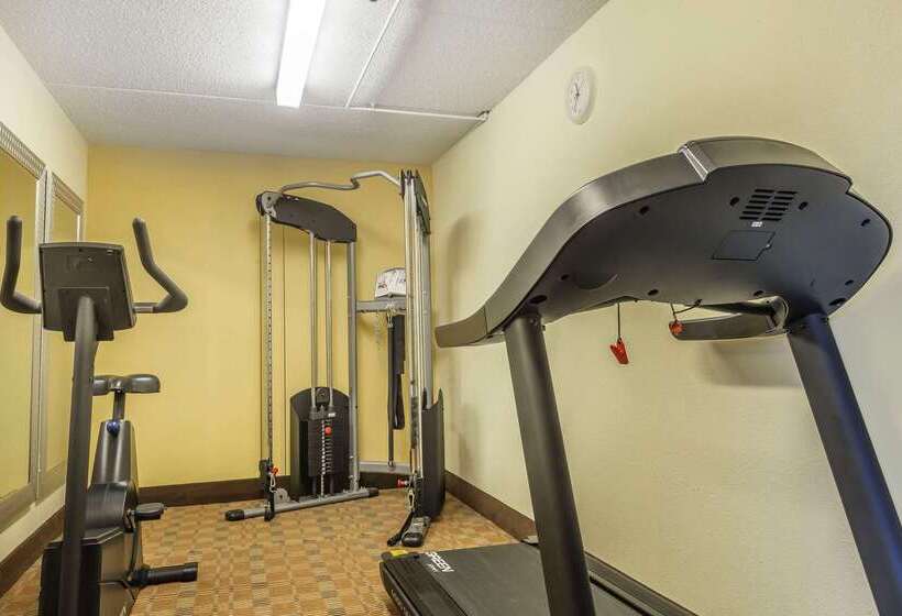 모텔 Quality Inn & Suites